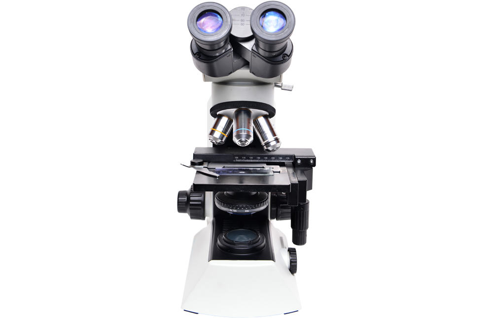 Consulenza Analytica Polyplus Lab Lugano